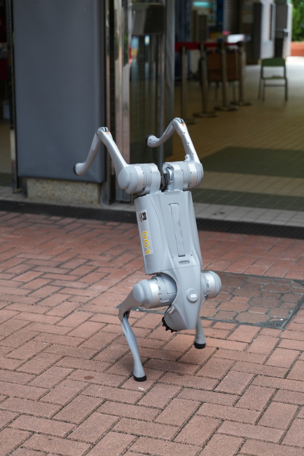 我都识跳霹雳舞!(图:霍楚晖) 我都识跳霹雳舞!(图:霍楚晖)