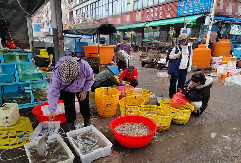企沙漁港碼頭部分攤點有野生河豚（魨）在售賣。 南國早報