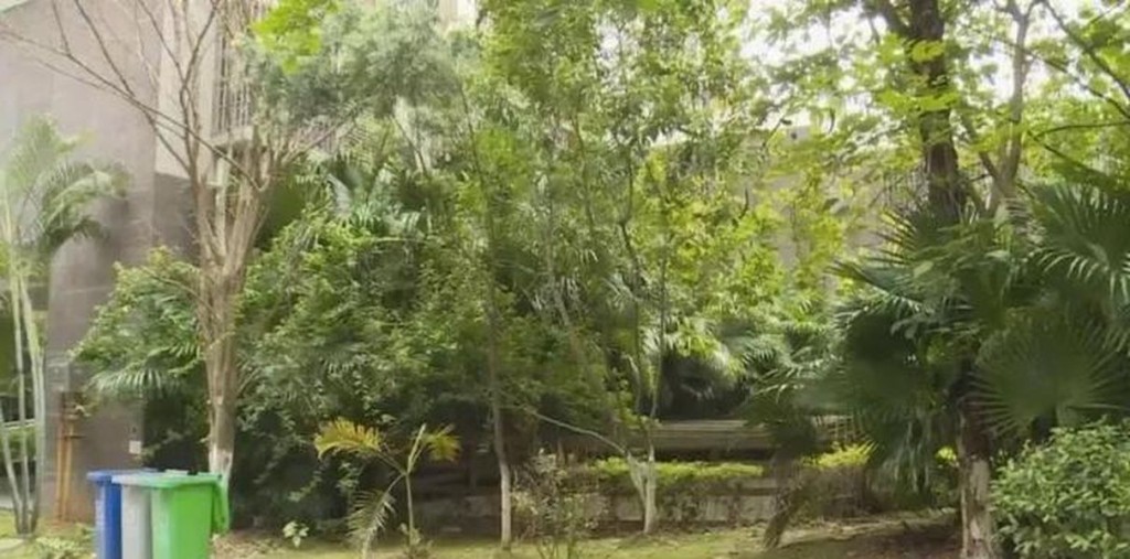 現場有花圃種滿樹。網圖