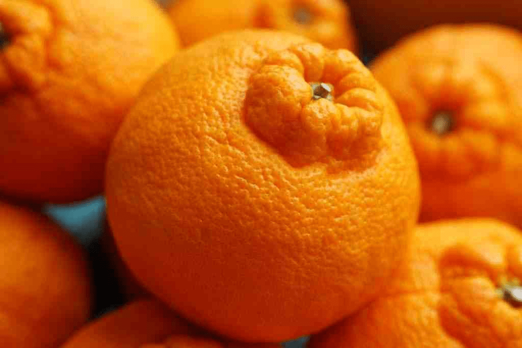 凸頂橘（每6個80美元，約港幣104元一個），凸頂橘也被稱為「不知火」，它是柑橘和橙子的雜交品種。凸頂橘比普通的橘子要大，也被認為是世界上最多汁的橘子。