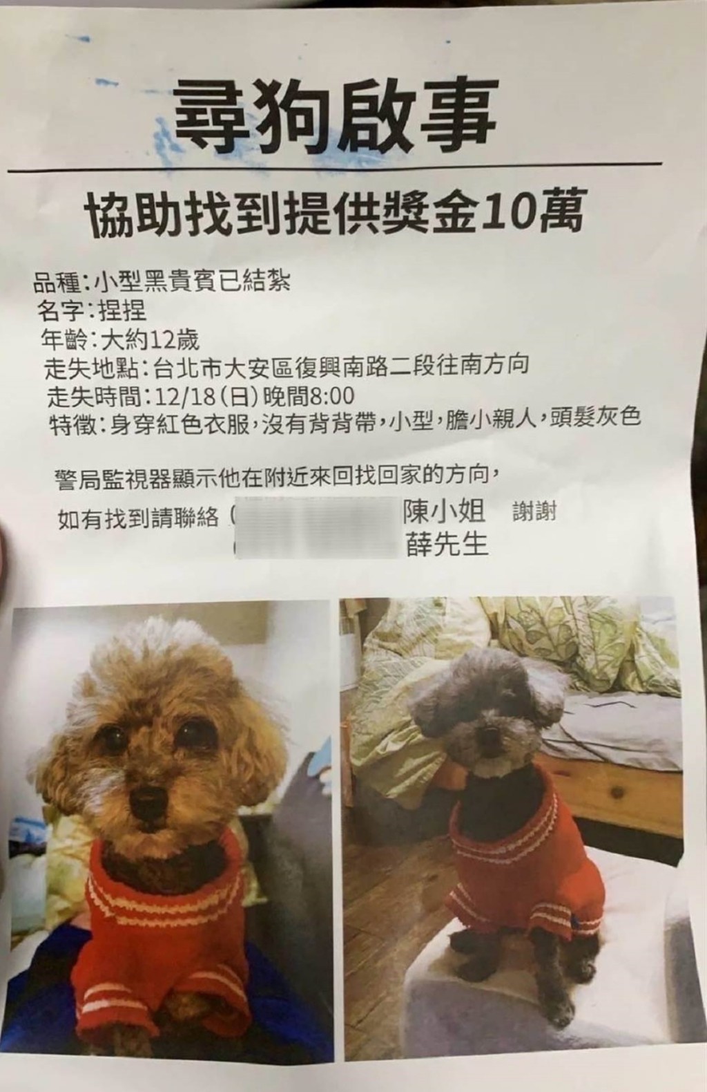 陳女在網上發公告懸賞尋愛犬。網圖