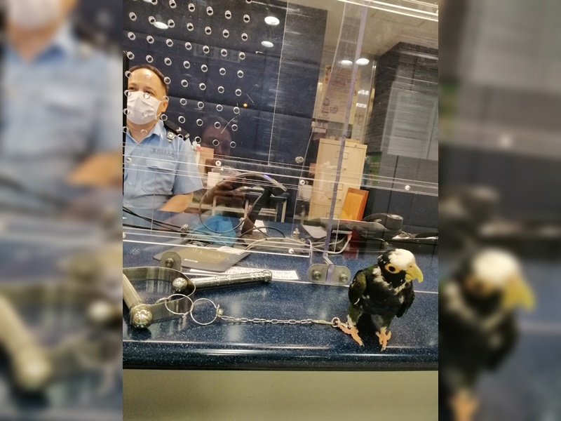 婦人到警署報警。網上圖片