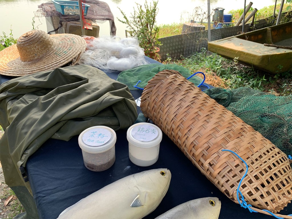 （圖片來源：香港觀鳥會）