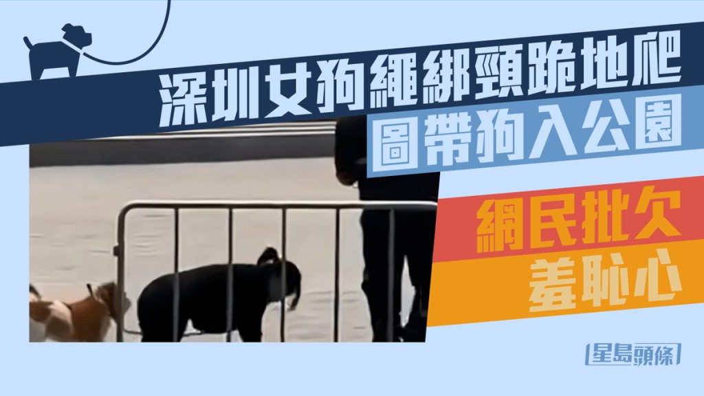 深圳一名女子日前為遛狗竟將狗繩綁在頸上扮狗爬行，行為被網民炮轟缺乏羞恥心。網上圖片