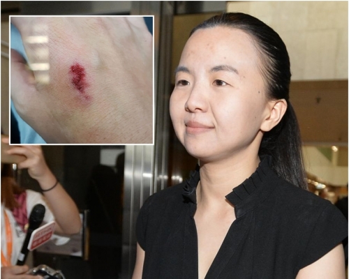 唐琳玲搭飛機來港被拒 涉咬傷入境處女職員