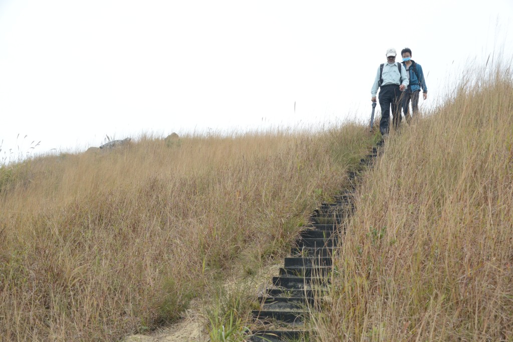朋友聽到我一個人上山，勸我小心，可是都來不及了，因為告訴他們目的地時，我已身處山脊之上，沒有退路了，同時也明白到任性的代價。（資料圖片）