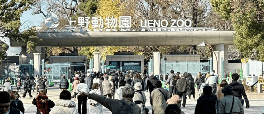 兩隻大熊貓下月返回中國，引來大批「粉絲」湧動物園道別。X@MutsukiWatson