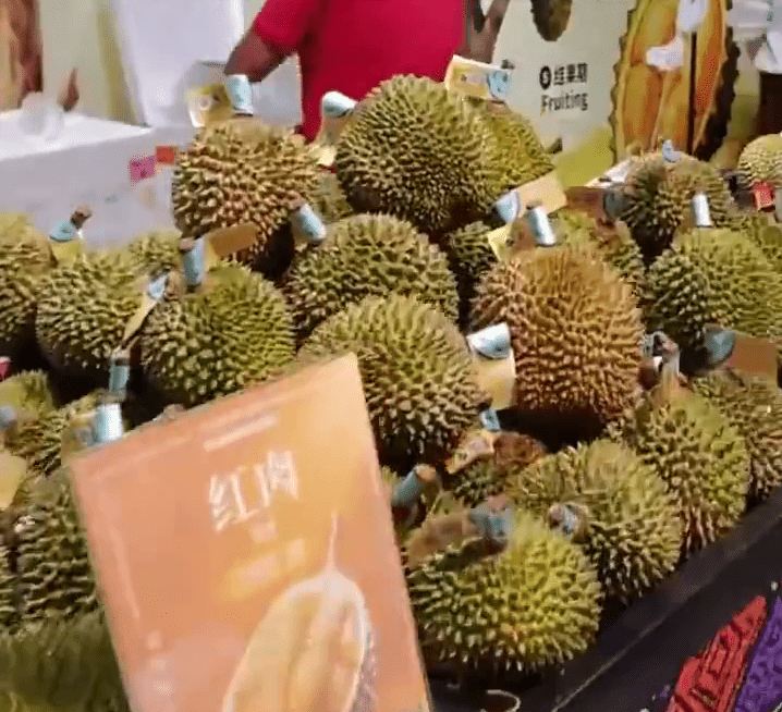 海南封關首日首批榴槤從大馬運抵,價格比平日低了一半。 中新網 海南封關首日首批榴槤從大馬運抵,價格比平日低了一半。 中新網