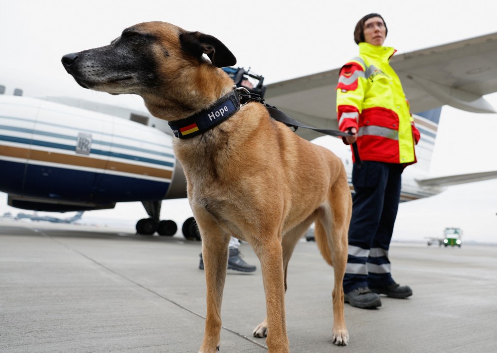 德國的救援犬。 路透社