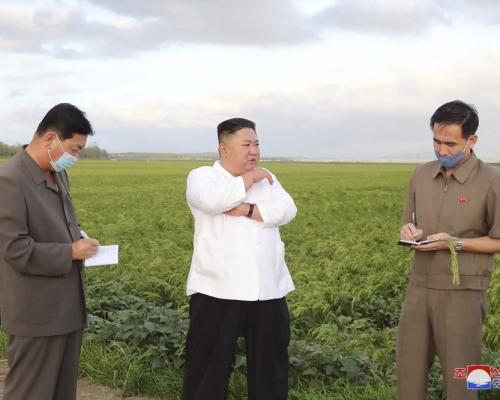 北韓領袖金正恩到黃海南道,視察風災對農作物造成的損失。AP圖片