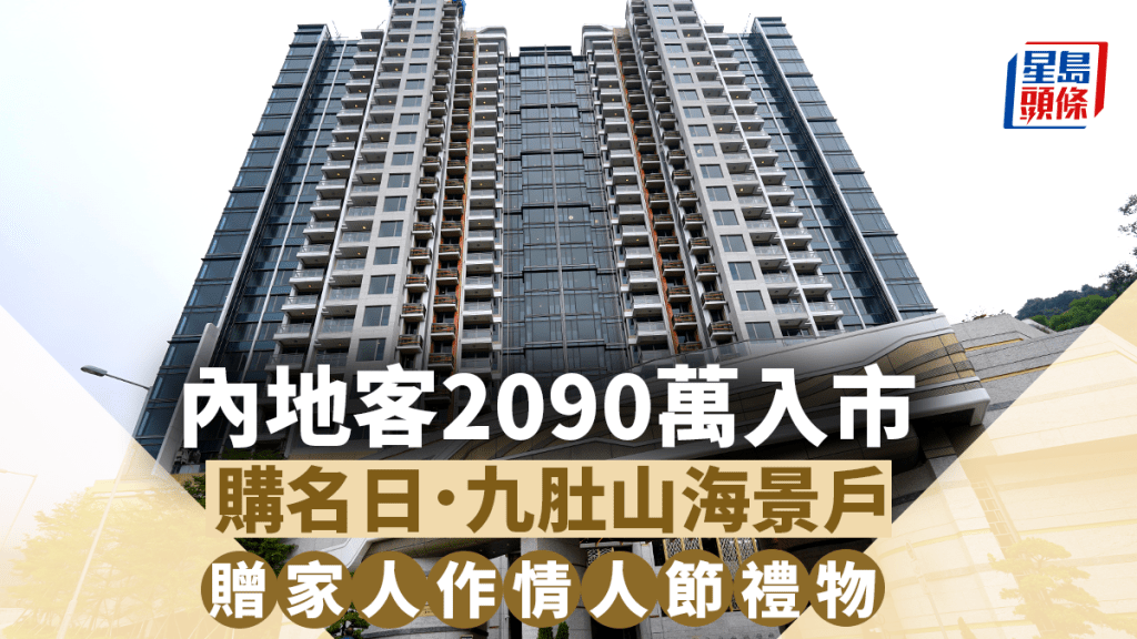 內地客2090萬購名日.九肚山海景戶 贈家人作情人節禮物