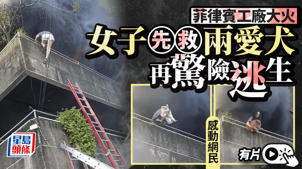 有片｜工廠陷火海生死一線 菲女先救兩愛犬再逃生 網民激讚：愛勝過恐懼
