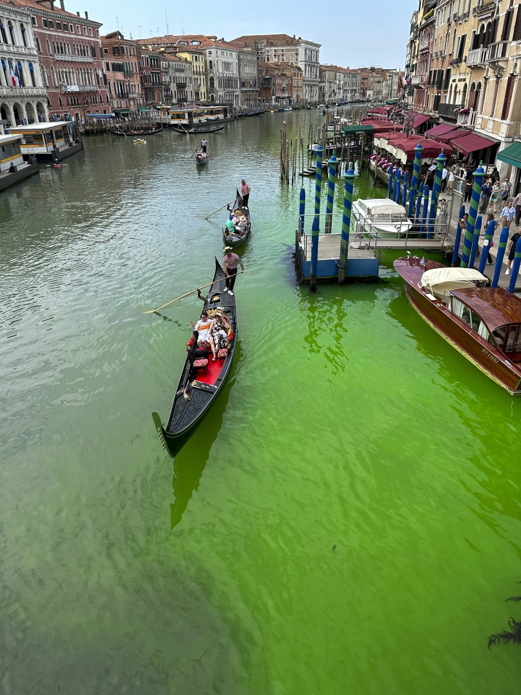 威尼斯著名的貢多拉駛過綠色河面。AP