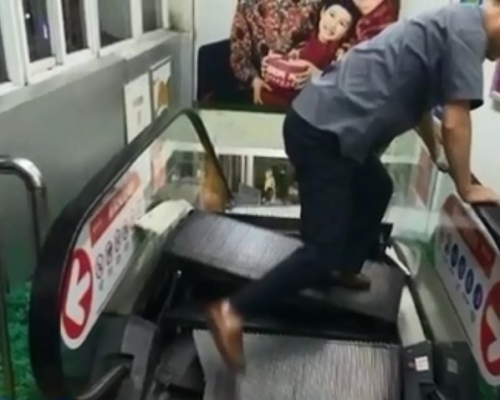 網圖。