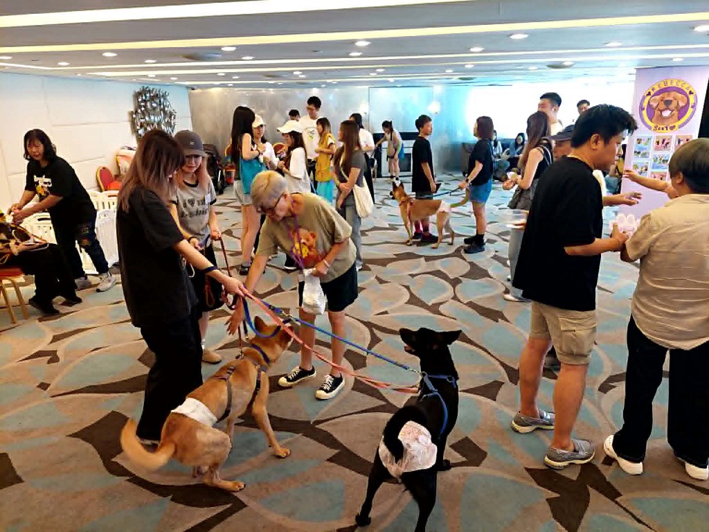 有愛狗團體舉行唐狗聚會，尋覓主人。受訪者提供