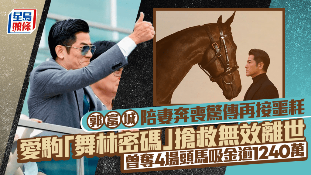 郭富城陪妻奔喪驚傳再接噩耗  愛駒「舞林密碼」搶救無效離世 曾奪4場頭馬吸金逾1240萬