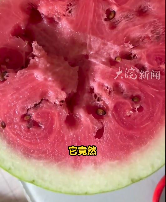 江蘇男子疑隨地吐籽，離家三個月驚見家中前庭長滿西瓜。大皖新聞
