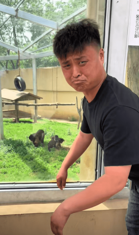 抖音網紅撞臉「方臉猴」親赴動物園朝聖「認親」。 抖音網紅撞臉「方臉猴」親赴動物園朝聖「認親」。