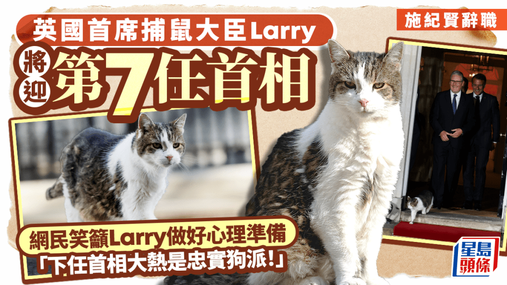 在位長達15年的英國首席捕鼠大臣Larry，準備送走任內第6位首相施紀賢。