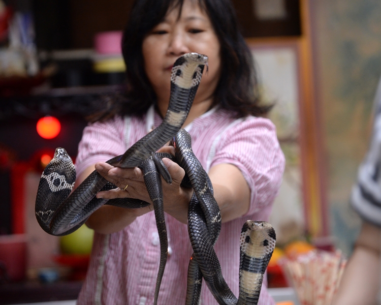 「蛇后」長姊周嘉玲。