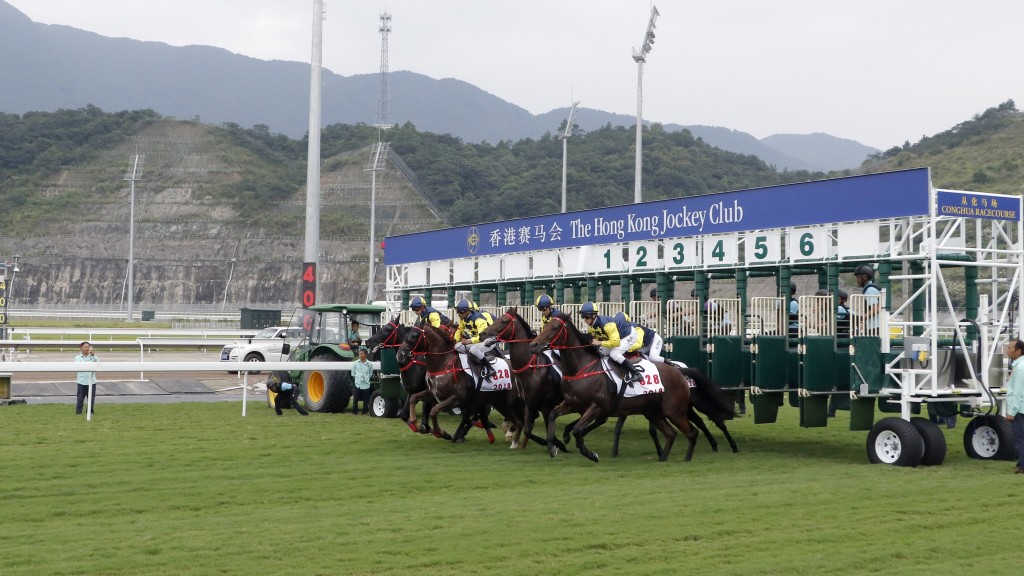  廣州從化馬場是世界級賽馬訓練基地，擁有先進訓練和復康設施。