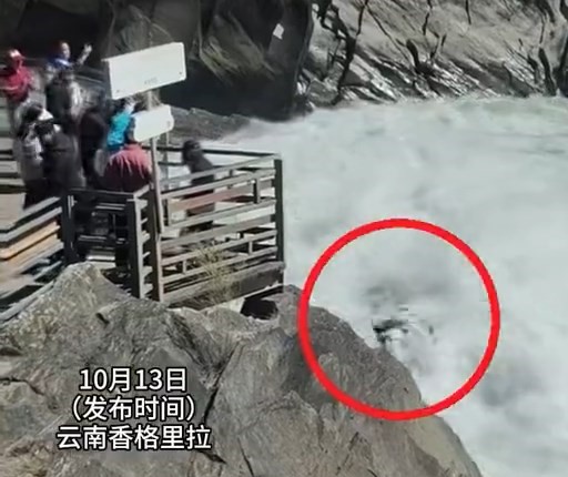 閉路電視拍下男子跳台的一刻。澎湃新聞 閉路電視拍下男子跳台的一刻。澎湃新聞