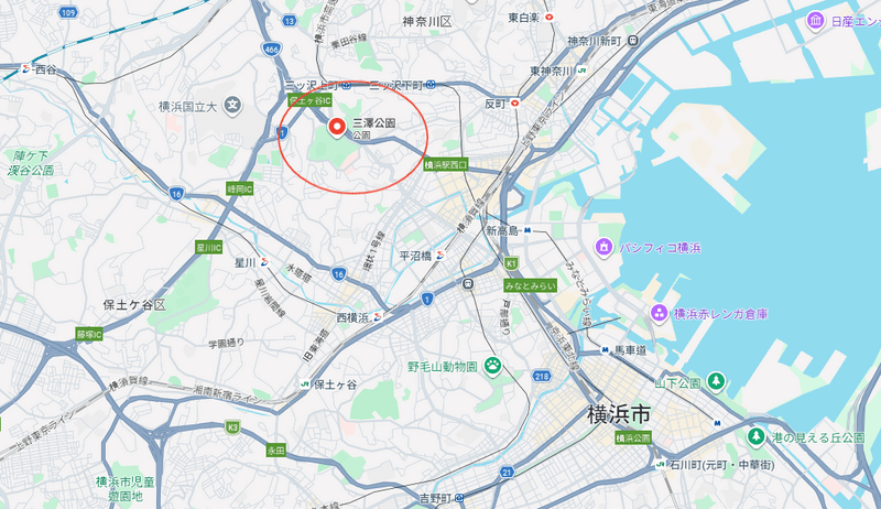 橫濱的三澤公園(紅圈處)傳出持刀傷人事件。Google地圖 橫濱的三澤公園(紅圈處)傳出持刀傷人事件。Google地圖