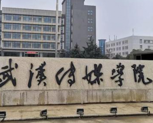 涉事学生来自武汉传媒学院。网图