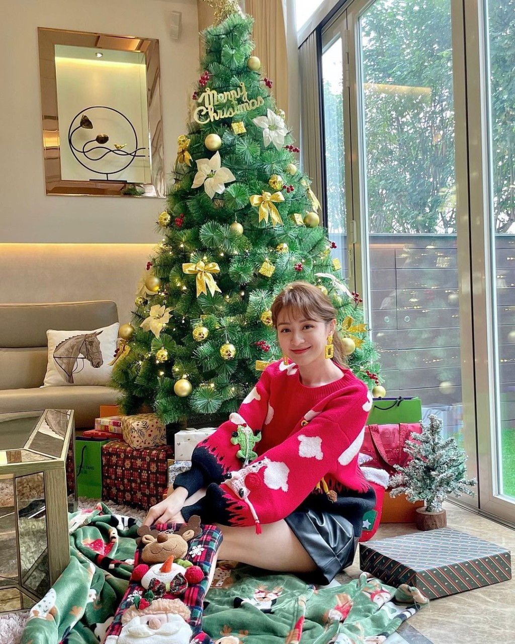 徐淑敏曾分享一张在家中圣诞树前的留影。
