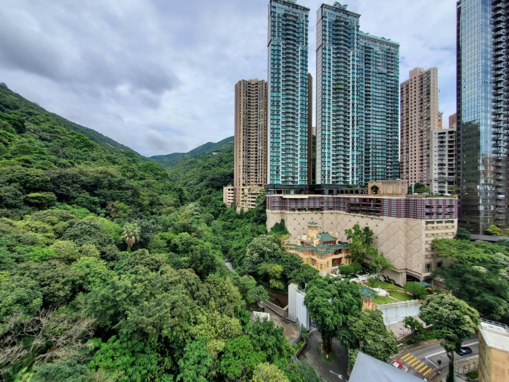 露台見綠油油山景，周邊為名門等豪宅。