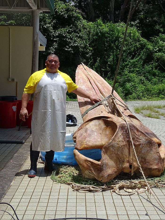 香港城市大學賽馬會動物醫學及生命科學院（總監—動物醫學發展）獸醫王啟熙表示，有意修讀該課程的學生，必須具備興趣。