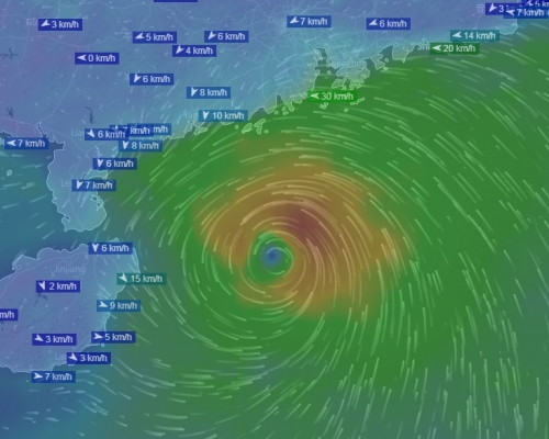 歐洲中期天氣預報（ECMWF）預測熱帶氣旋趨向廣東西部至雷州半島一帶。網上圖片