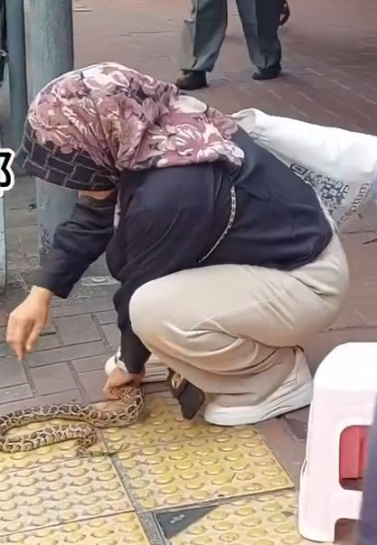 印傭徒手捉住蛇頭及蛇尾。網上片段截圖 印傭徒手捉住蛇頭及蛇尾。網上片段截圖