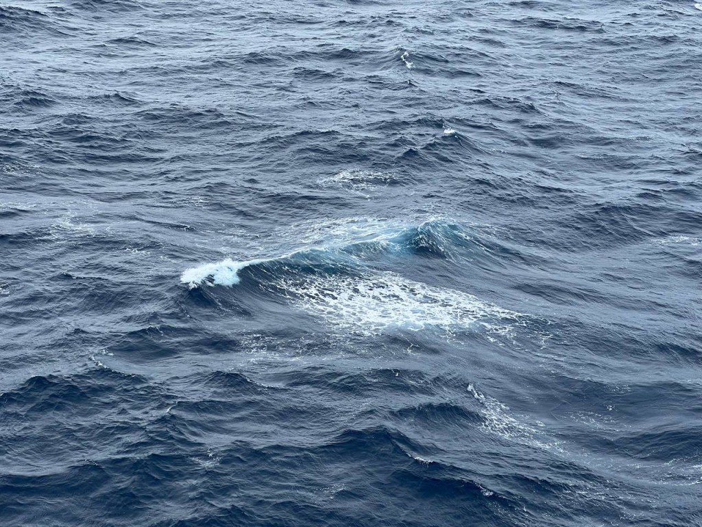 海面非常大浪。