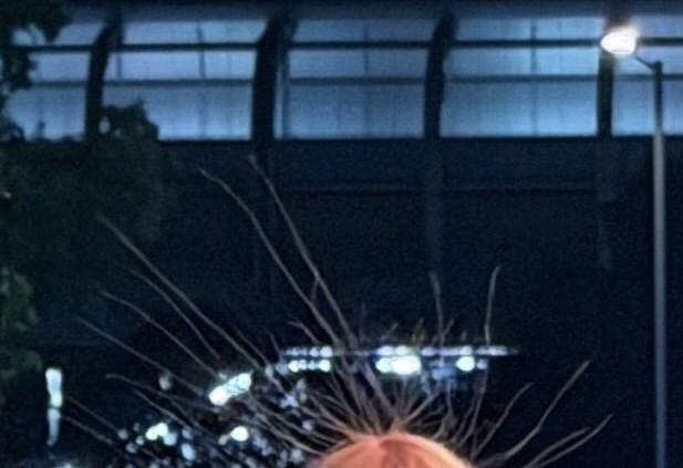 Threads截圖(資料來源:lowiiinggg@Threads) Threads截圖(資料來源:lowiiinggg@Threads)