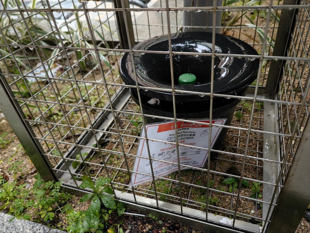 政府部門在全港多個地區放置誘蚊器以量度當區蚊患指數。 政府部門在全港多個地區放置誘蚊器以量度當區蚊患指數。