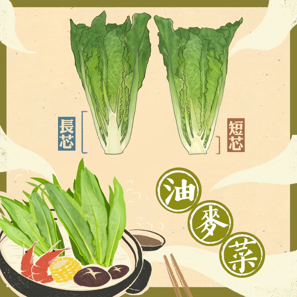 漁護署解釋油麥菜「抽苔」前後分別。漁護署FB