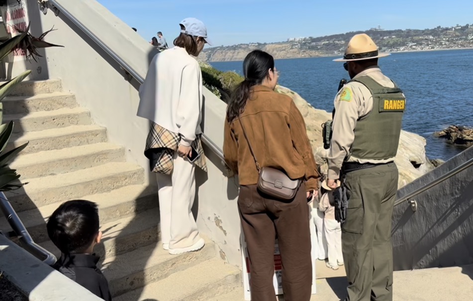 全家人最终被逐出海滩。(Jim Grant，Instagram@jimgrantphotos)