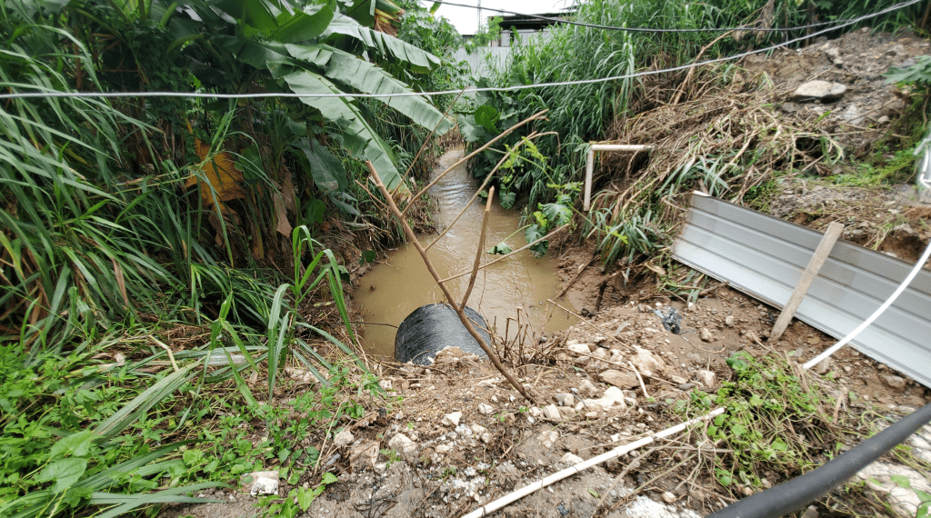 余秋明投诉村内渠道被人堵塞引致水患。 资料图片