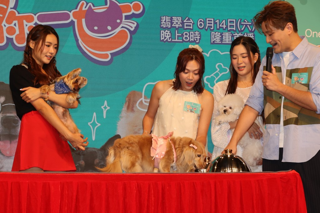 戴祖儀、游嘉欣、陳懿德與帶同愛犬亮相。 戴祖儀、游嘉欣、陳懿德與帶同愛犬亮相。