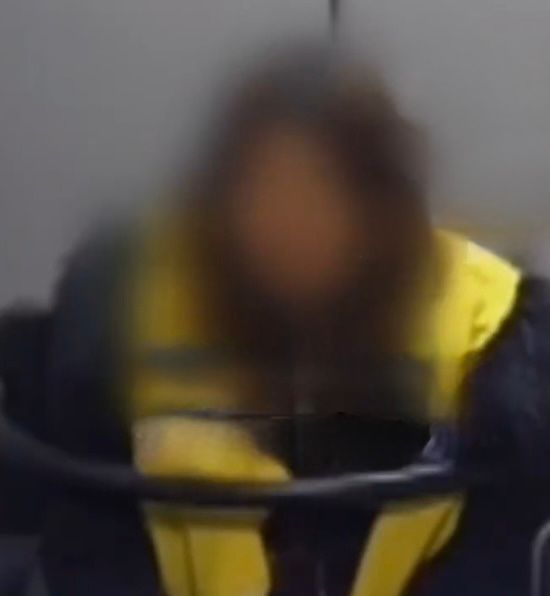 涉案女子。看看新聞