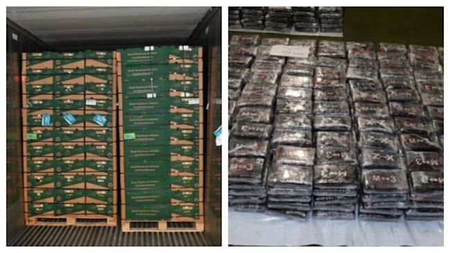 英國當局在一批自南美洲入境的香蕉貨櫃中,查獲2.9噸可卡因。英國國家犯罪局 英國當局在一批自南美洲入境的香蕉貨櫃中,查獲2.9噸可卡因。英國國家犯罪局