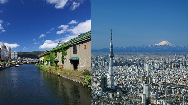 七天的旅行團隊會分別暢遊北海道及東京。