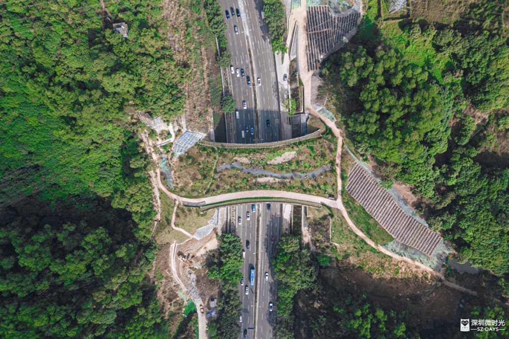 深圳為慣通「三徑三線」加建了不少設施。