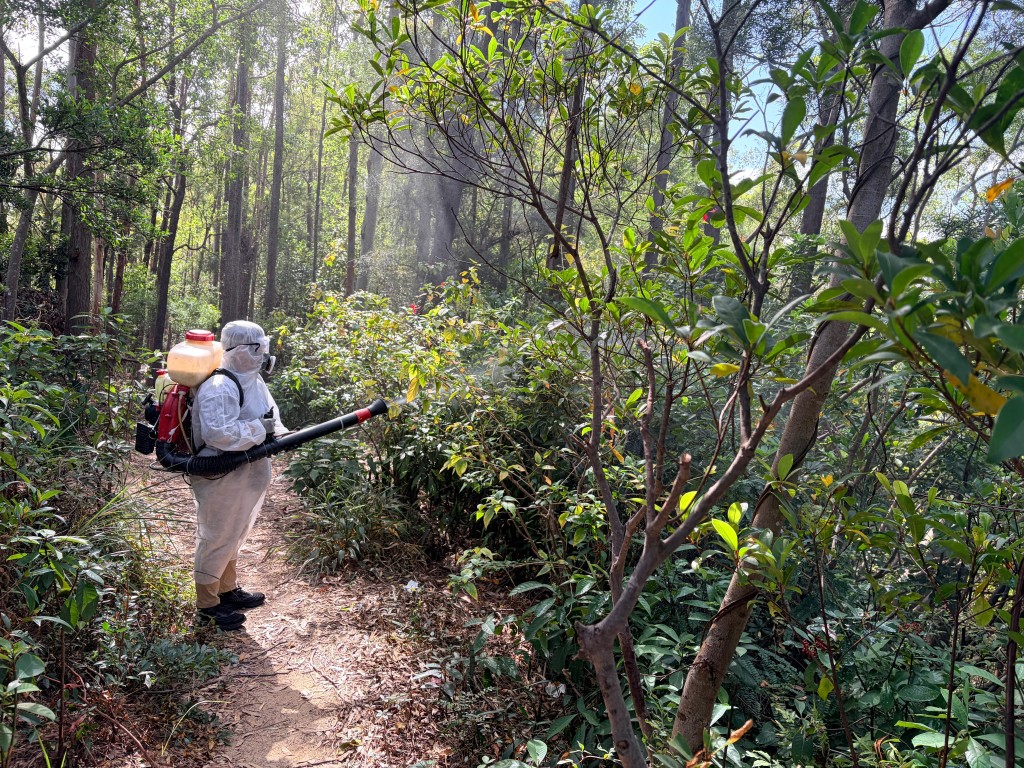 青衣自然徑現基孔肯雅熱傳播鏈,食環署至今已進行49次霧化滅蚊行動。 青衣自然徑現基孔肯雅熱傳播鏈,食環署至今已進行49次霧化滅蚊行動。