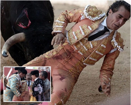 牛角刺中迪尼奧右側身驅，並穿刺其肺部。網圖