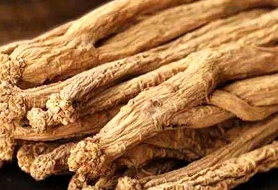 黨參可以說是整個坐月期必須用上的食療藥材。