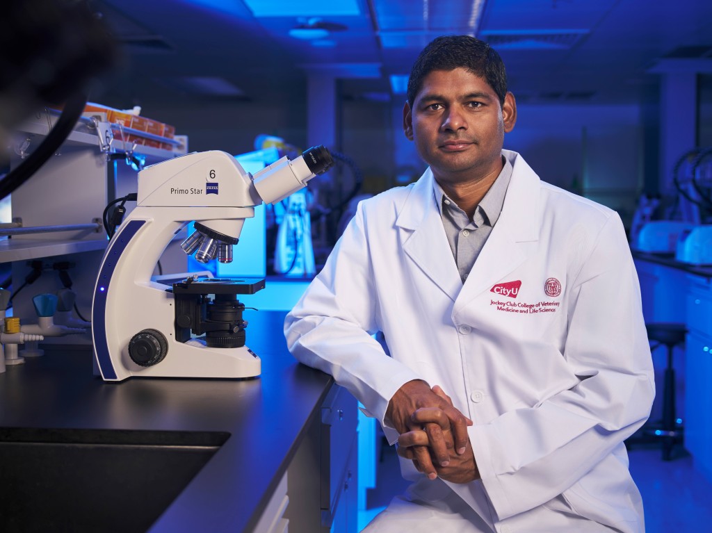 Ganesh Pathare教授早前於成立了「骨–腎軸與再生醫學實驗室」(Bone–Kidney Axis and Regeneration Laboratory),聚焦研究克洛素訊號傳導機制。城大提供 Ganesh Pathare教授早前於成立了「骨–腎軸與再生醫學實驗室」(Bone–Kidney Axis and Regeneration Laboratory),聚焦研究克洛素訊號傳導機制。城大提供
