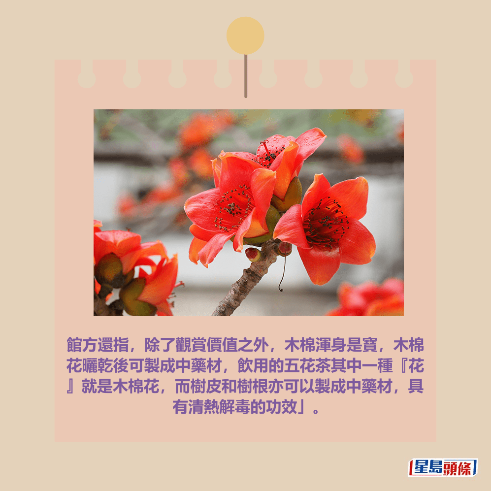 香港科學館網頁截圖