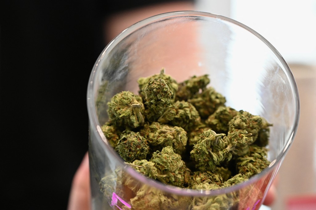 女子承认曾多次在子女面前吸食大麻。法新社 女子承认曾多次在子女面前吸食大麻。法新社